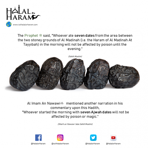 Ajwa Dates as mentioned in Hadith - Sunnah Treatments